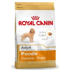 Voer Royal Canin Poodle Adult Volwassen 1,5 Kg