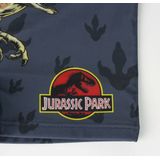 Zwembroek voor Jongens Jurassic Park Donker grijs Maat 4 Jaar