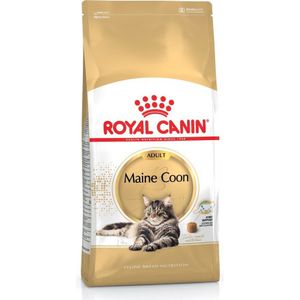 Royal Canin FBN Maine Coon Adult - droogvoer voor volwassen katten - 4kg