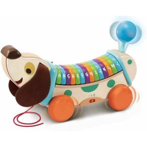 Interactief Speelgoed voor Baby's Vtech Baby My Interactive ABC Dog
