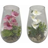 Decoratieve plant Home ESPRIT PVC Kristal 15 x 15 x 25 cm (2 Stuks)