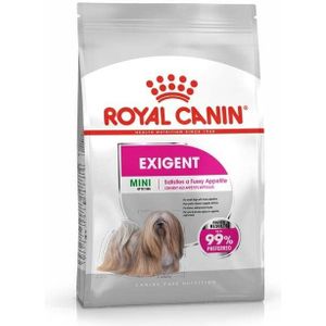 ROYAL CANIN Mini Exigent - droogvoer voor kieskeurige honden - 1kg