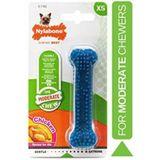 Hondenspeelgoed Nylabone Klein Blauw Natuurlijk Kip Thermoplast Maat XS