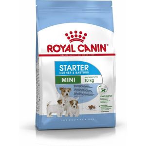 Voer Royal Canin Starter Mother And Babydog Volwassen Vogels 1 kg