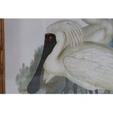 Schilderij DKD Home Decor Vogels Orientaals 45 x 3 x 60 cm (4 Stuks)