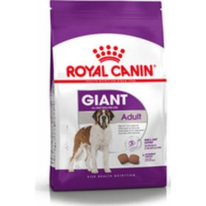 Voer Royal Canin Giant Adult 15 kg Volwassen