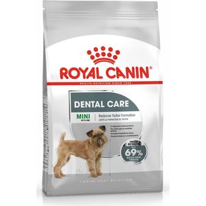 ROYAL CANIN CCN Mini Dental Care - droogvoer voor volwassen honden - 3kg