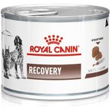 ROYAL CANIN Recovery Nat honden- en kattenvoer Mousse Gevogelte, Varkensvlees 195 g