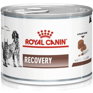 ROYAL CANIN Recovery Nat honden- en kattenvoer Mousse Gevogelte, Varkensvlees 195 g