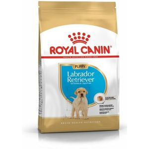 ROYAL CANIN BHN Labrador Retriever Puppy - droog puppyvoer - 3kg