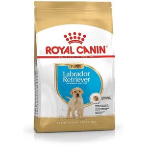 ROYAL CANIN SHN Breed Labrador Junior droogvoer voor honden - 12 kg