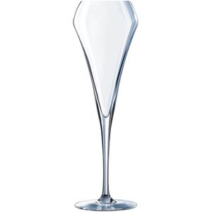 Set van bekers Chef & Sommelier Open Up Champagne Glas (200 ml) (6 Stuks)