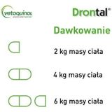 VETOQUINOL Drontal - antiparasiettabletten voor katten - 2 st.