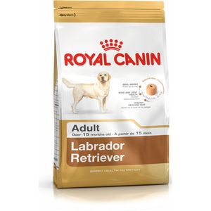Voer Royal Canin Labrador Retriever Adult 12 kg Volwassen Vogels 20-40 Kg