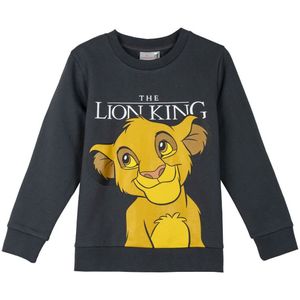 Kindersweater zonder Capuchon The Lion King Donker grijs Maat 5 Jaar