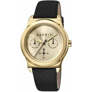 Horloge Dames Esprit ES1L077L0025
