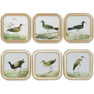 Schilderij DKD Home Decor Vogels Cottage 30 x 2 x 30 cm (6 Stuks)