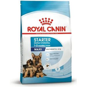 ROYAL CANIN SHN Maxi Starter Mother & Babydog - droog hondenvoer - 4 kg